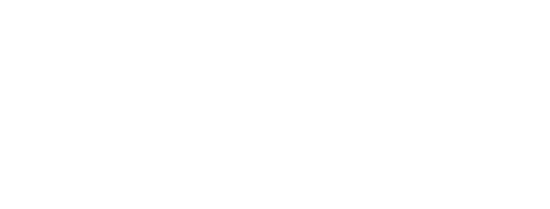 Bullhorn case study logo