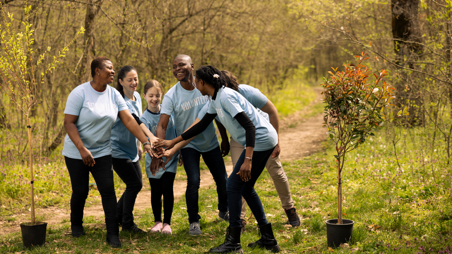 nonprofit team planting a tree