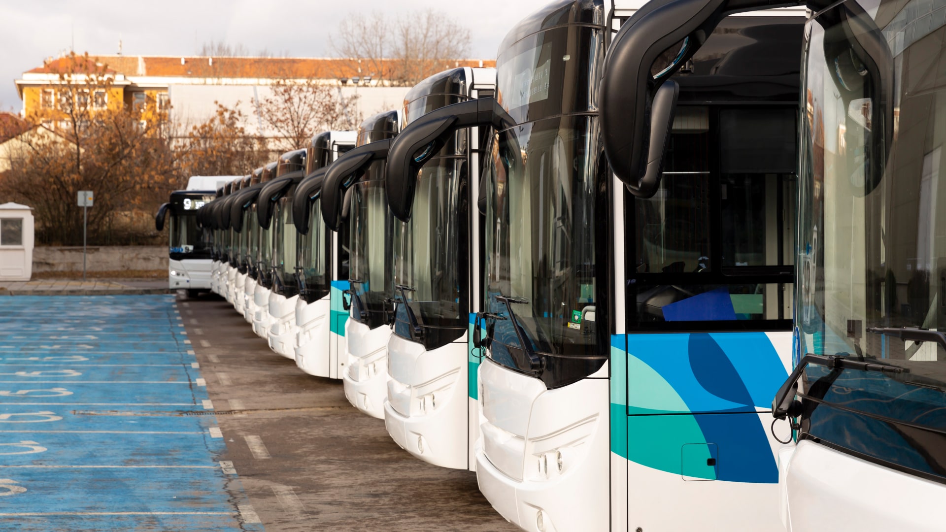 buses on a parking lot